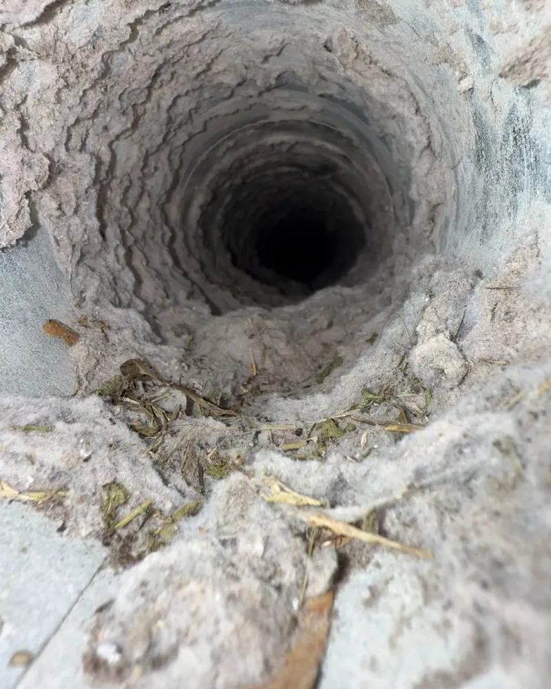 Clogged dryer vent before cleaning at a Pompano Beach, FL home.