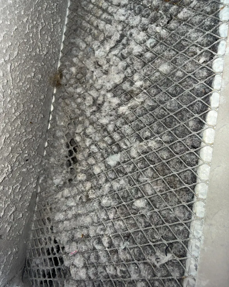 Clogged dryer vent before cleaning at a West Palm Beach, FL home.